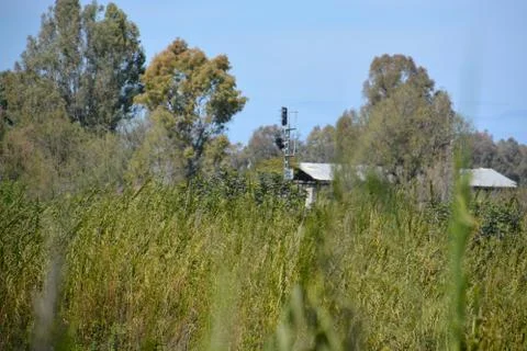 Pool of Nymphs Stock Photos