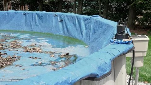 Pool Opening Maintenance Cover Water Removal Cleanup Stock Footage 334091211