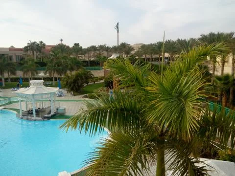 Pool, palm, landscape. Foto stock