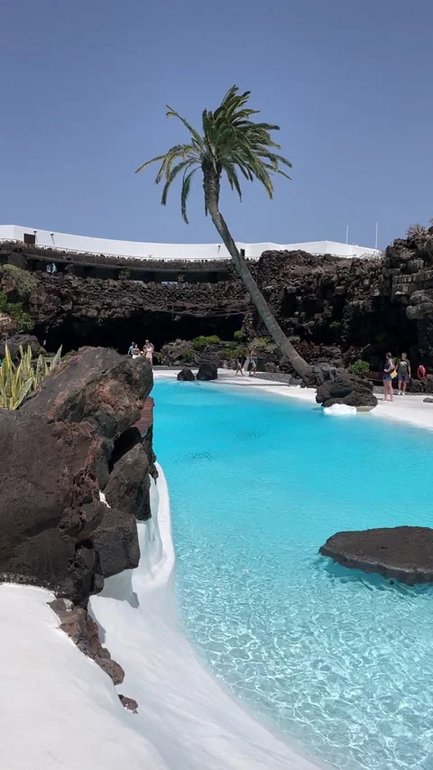 Pool with palm tree 9x16 Stockbeeldmateriaal 281077871