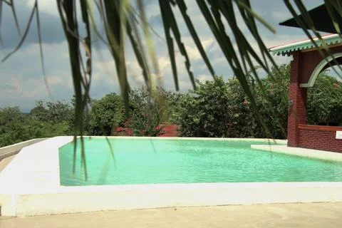 A pool with a palm tree in the background Stock Photos