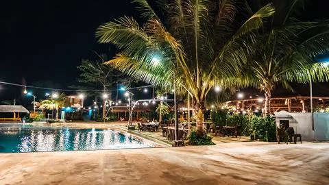 A pool with a palm tree in the background Stock Photos