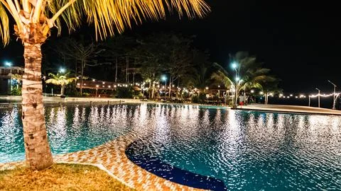 A pool with a palm tree in the background Stock Photos