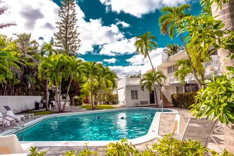 Pool with palm trees in Florida Stock Photos