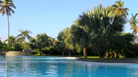 Pool With Palm Trees Stock Footage 10610380