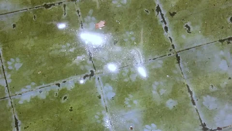 The pool of a park rippling with the effect of the wind. Video stock 152693247