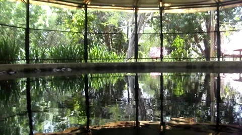 Pool in the park with water Vídeos de archivo 40733396