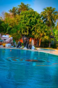 Pool Stock Photos