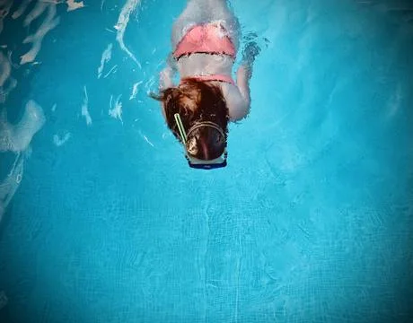 Pool Stock Photos