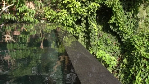 Pool of the private villa in the jungle. Stock Footage 104494238
