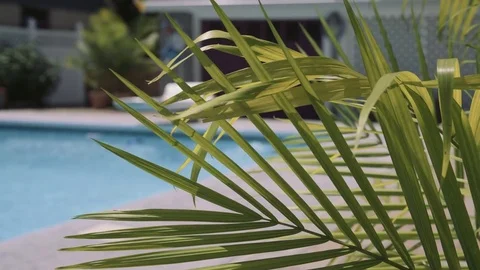 Pool rack focus Stock Footage 78808166