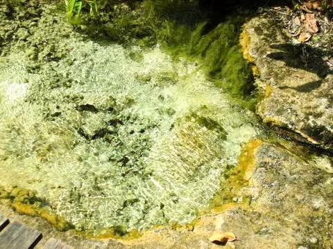 Pool of Radiance Stock Photos