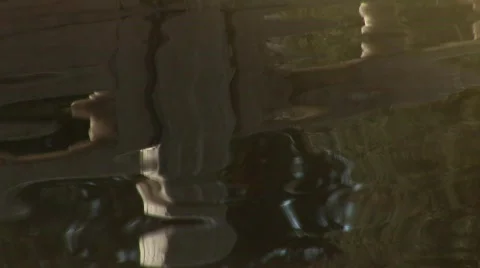 Pool of red fish Stock Footage 361852