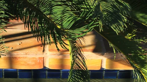 Pool reflection on brick &amp; palm Stock Footage 33906206