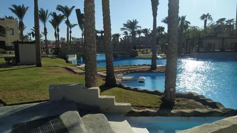 Pool in the resort in egypt Фото