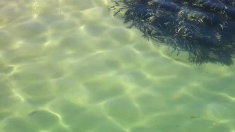 A pool of sea water, with light refracting onto the sand beneath the water. Stock-Footage 193995072