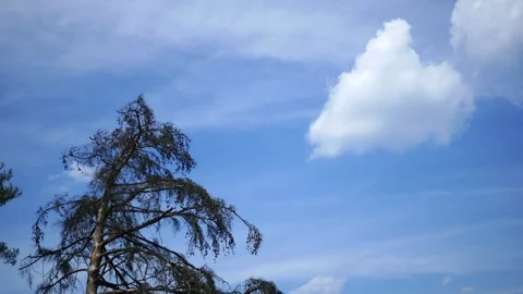 Pool Series - A Pool Vacuum Sucks Dirt in Pool Stock Footage 341173738