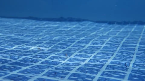 Pool Series - Underwater Tile Floor in Vinyl Pool Vidéo 314626887
