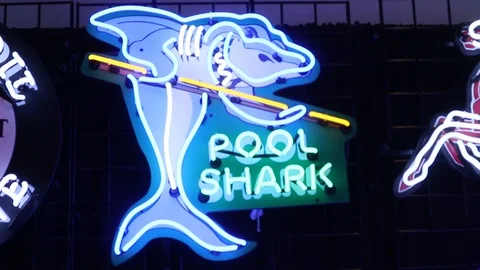 Pool Shark Neon Sign Stock Footage 126013798