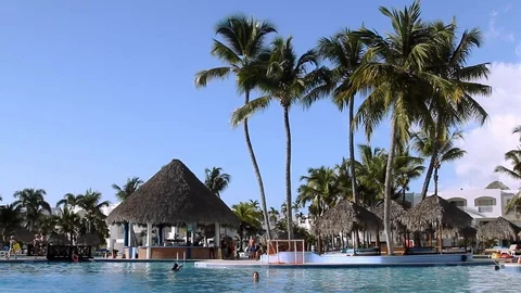  Pool side with bar and palm trees waving in wind 库存影片 102447017