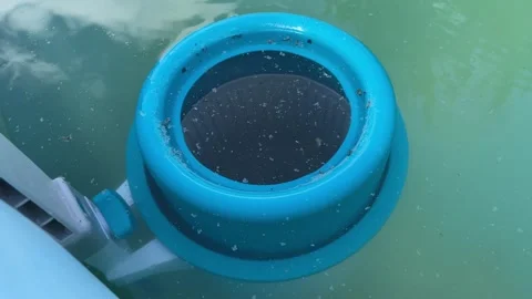 Pool skimmer net cleaning water surface Stock Footage 342430423