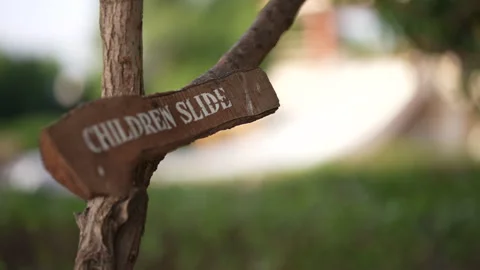 Pool slide wooden board on a tree Stock Footage 246984185