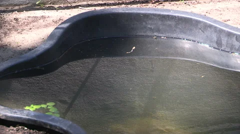 Pool of standing water breeding mosquitoes risking zika virus Stock Footage 51297970