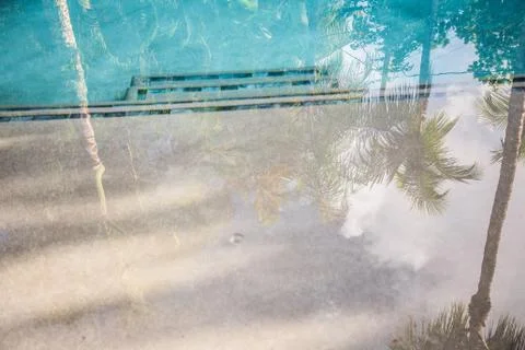 Pool steps in water palm tree greenery foliage reflection during sunset or su Stock Photos