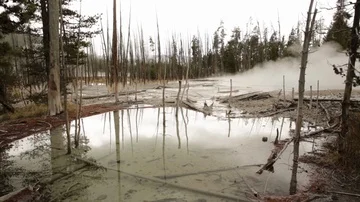 Pool of Still Water Reflecting Trees and Fog in Yellowstone Stock Footage 86036877