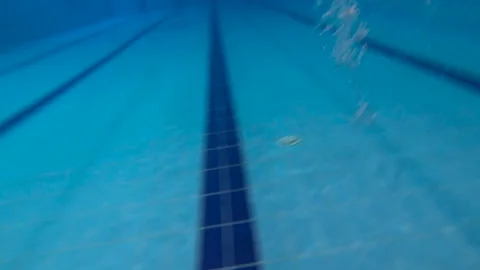 Pool . Style crawl. Swimmer. Training . The distance is 25 meters. Stock Footage 86158871