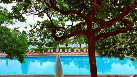 The pool is surrounded by beautiful spreading trees. Italy. Stock Footage 312917090