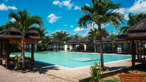 A pool surrounded by palm trees and a few small buildings Stock Photos