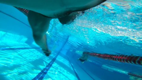 Pool . The swimmer sails in the style of a crawl. Training of breathing . Stock Footage 86462010