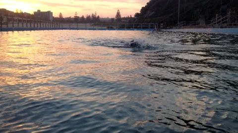 Pool Swimmer At Sunset 스톡 동영상 29155159