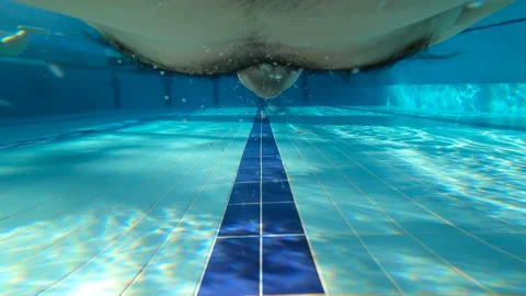 Pool . The swimmer swims under the water. Sports. Training athlete. Stock Footage 86462011