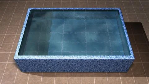 Pool with tiles Stock Illustration