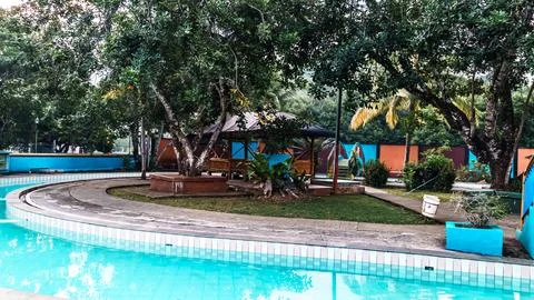 A pool with a tree in the background Stock Photos