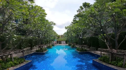 Pool in the tropics Video stock 156867788