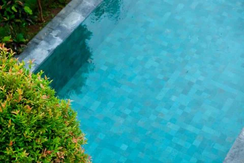 Pool in the tropics, the view from the top Stock Photos
