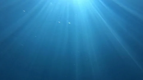 In the pool under water with sunlight Stock Footage 97085806