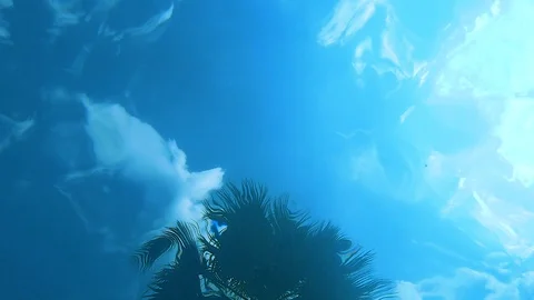Pool Underwater Water Ripples Clouds Tree Tropic Video stock 114520714