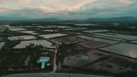 Pool View Stock Footage 267921971