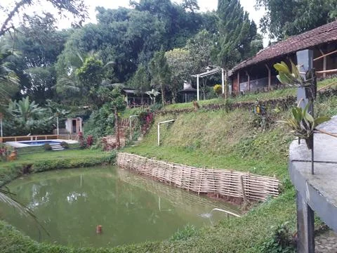 Pool at Vilage Stock Photos