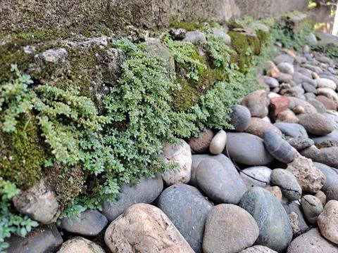 Pool wall Stock Photos
