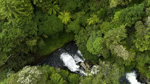 Pool of water at base of waterfall Stock Footage 159031557