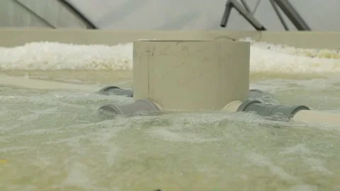 Pool water filter Stock Footage 146652295