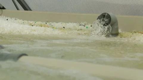 Pool water filter Stock Footage 146652327