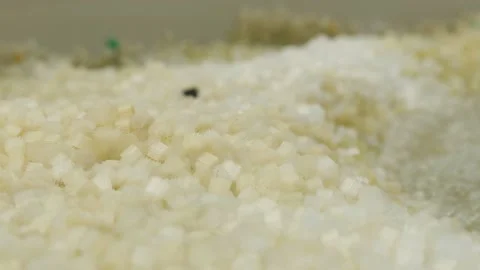 Pool water filter Stock Footage 146652340