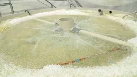 Pool water filter Stock Footage 146652375