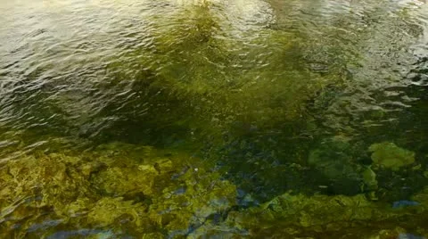 Pool of Water Video stock 18069687